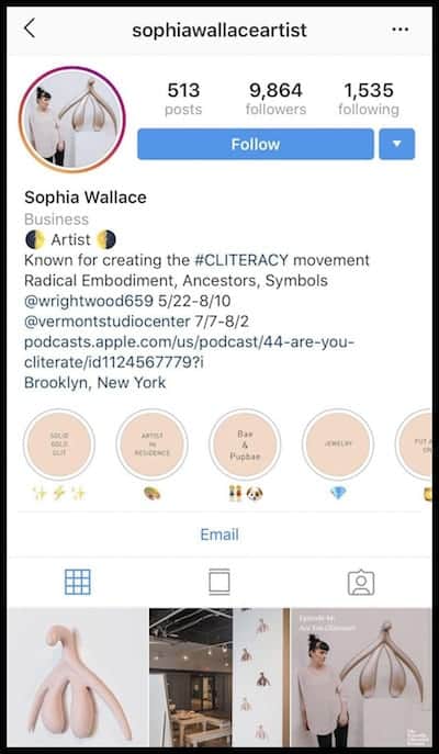 Sophie Wallace Instagram Art Buyer Following