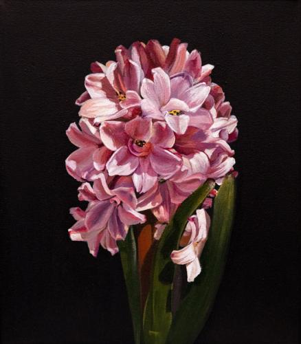 “Hyacinth” by Natasha Sokolnikova
